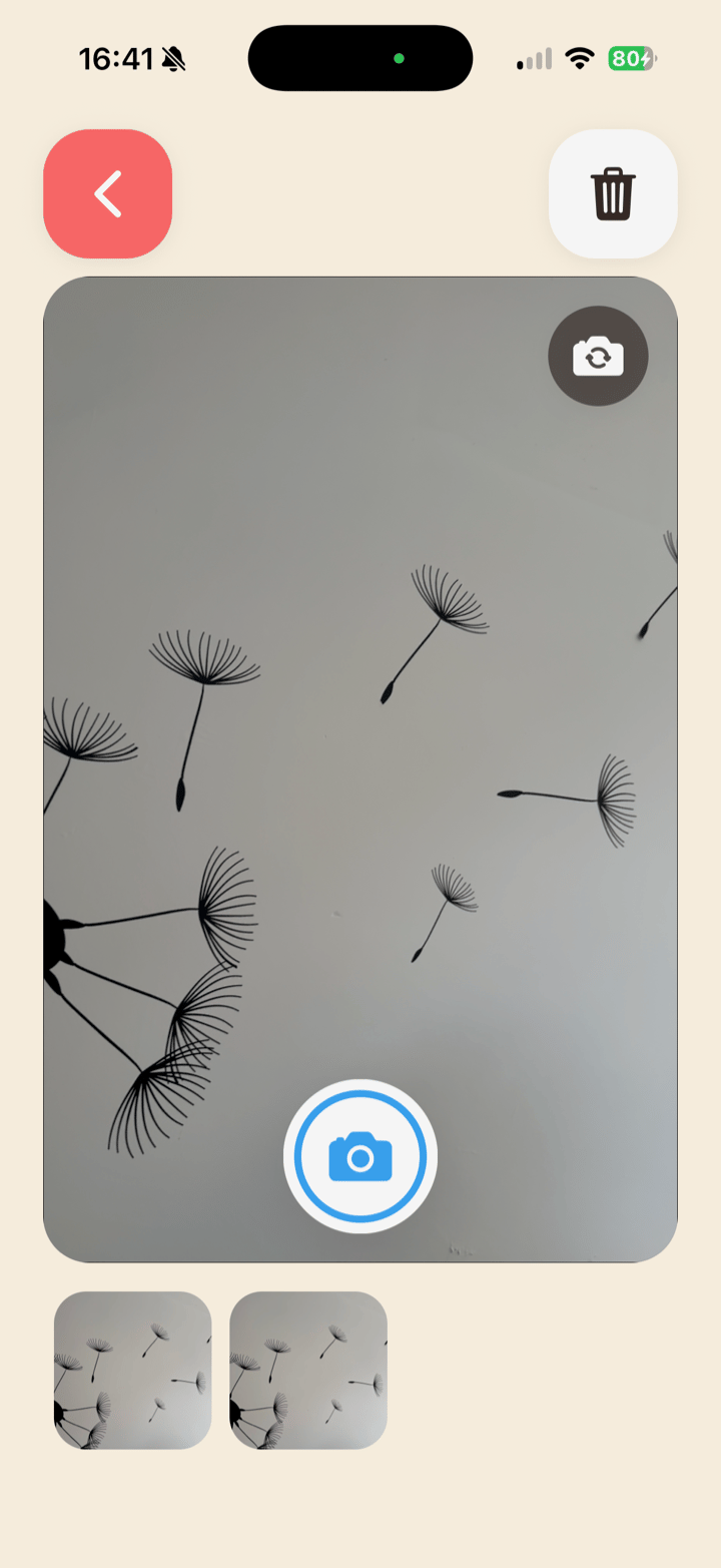In-app camera viewfinder in KidPad
